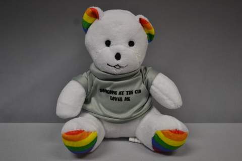 Plush Bear Rainbow 6"Loves U