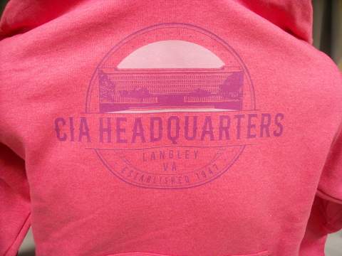 Hoodie HQ Building Pink XL