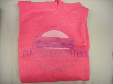 Hoodie HQ Building Pink 2X