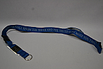 Lanyard Nvy Verb The Truth DISC